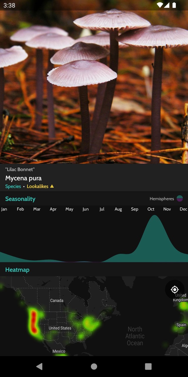 守护之境<span>(Beta)</span> screenshot image 13_Popularmodapk.com