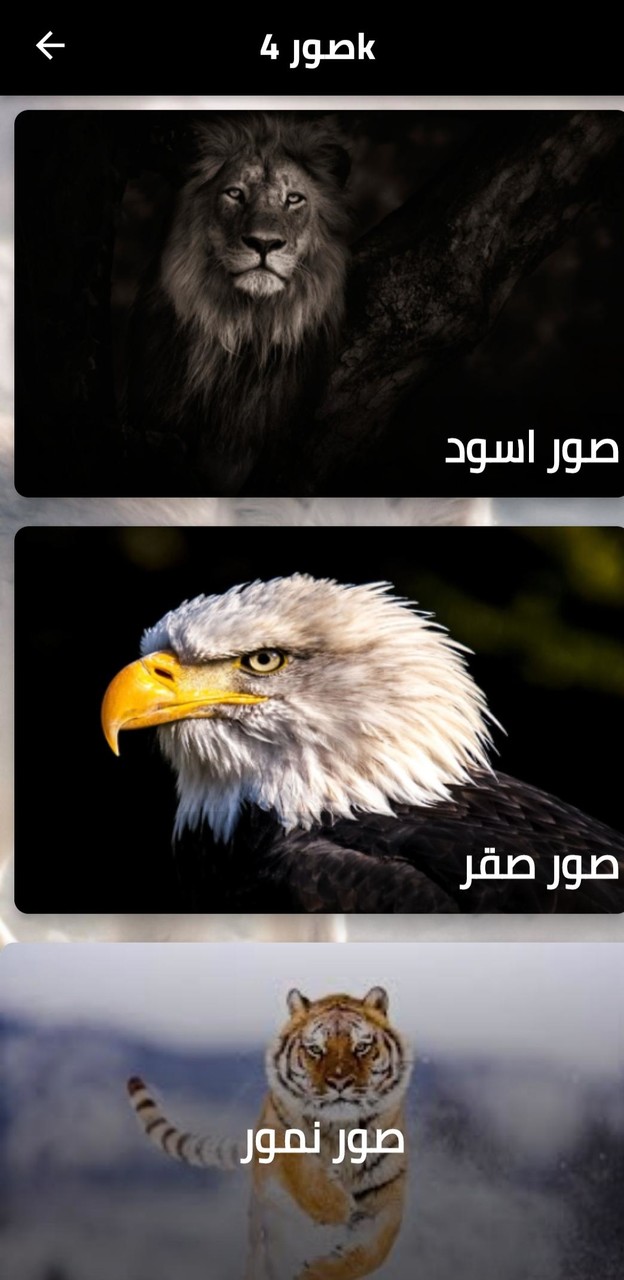 صور 4k screenshot image 4_Popularmodapk.com