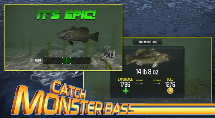 Master Bass: Fishing Games screenshot image 4_Popularmodapk.com