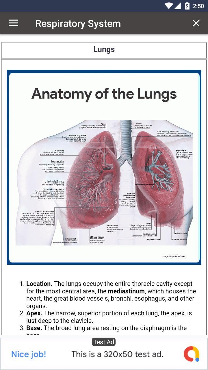 Respiratory System screenshot image 5_Popularmodapk.com