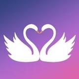 Muzproposal: Single Muslims Marriage & Arab Dating4.3.9_Popularmodapk.com