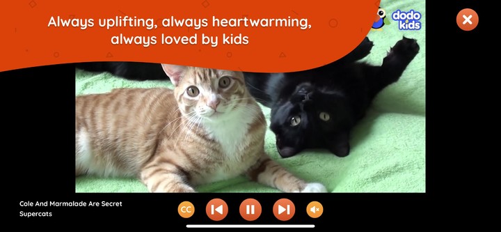 Dodo Kids screenshot image 9_Popularmodapk.com