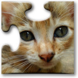 Cats Jigsaw Puzzles2023.09.15_Popularmodapk.com