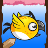 Rescue The Bird1.0.2_Popularmodapk.com