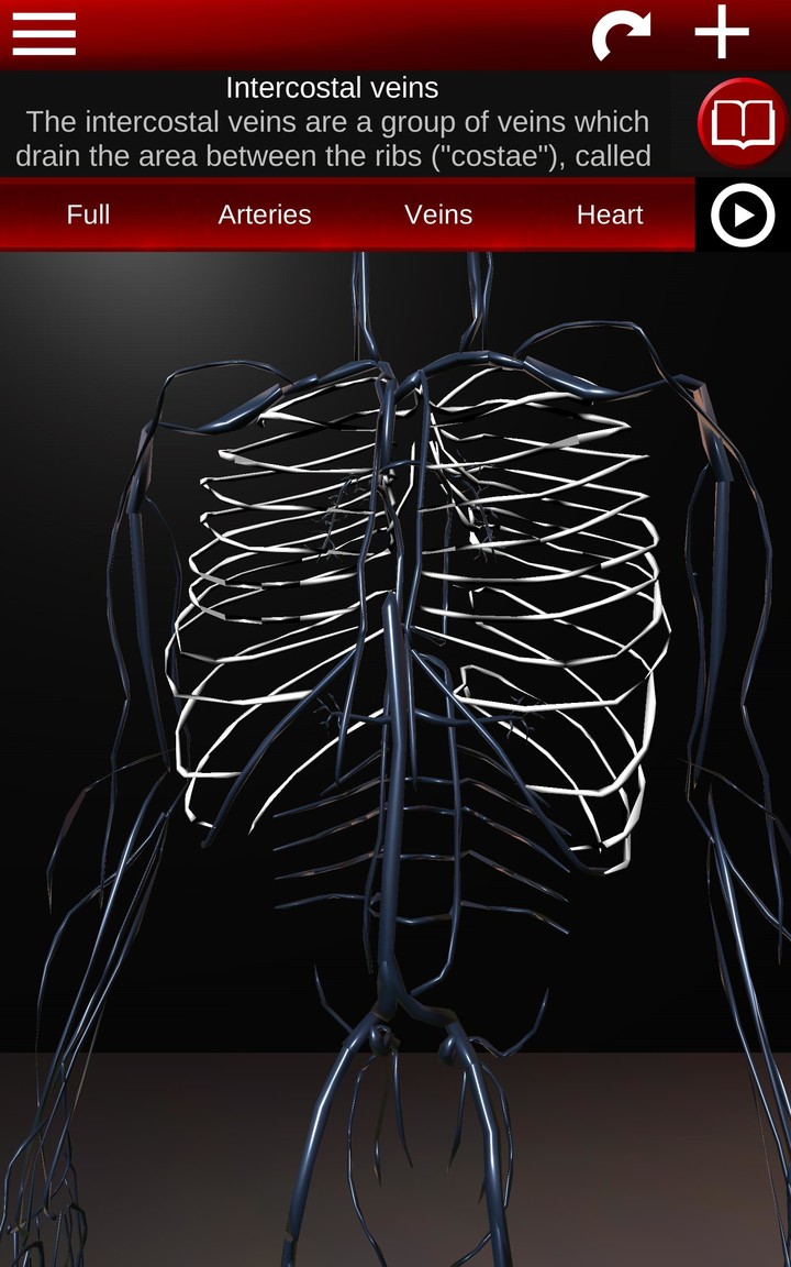 Circulatory System 3D Anatomy screenshot image 19_Popularmodapk.com