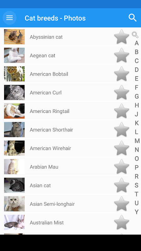 Couples Photos Design Suits screenshot image 4_Popularmodapk.com