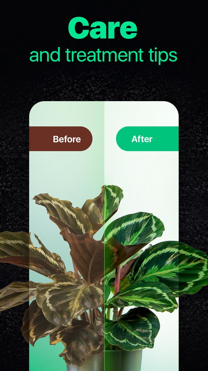 NatureID- Plant Identification screenshot image 2_Popularmodapk.com