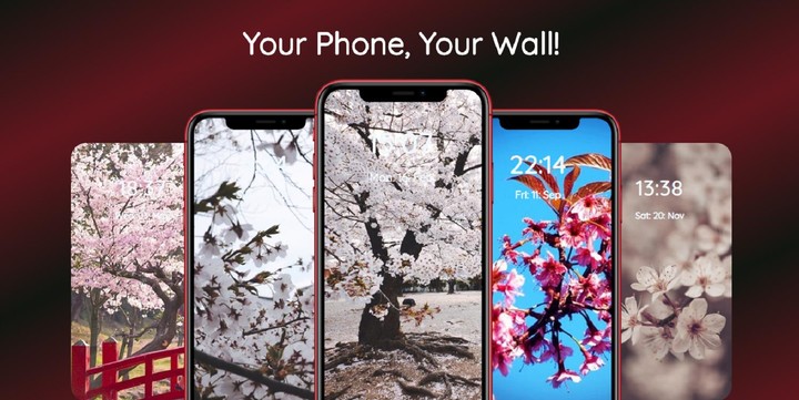 Sakura Wallpaper screenshot image 11_Popularmodapk.com