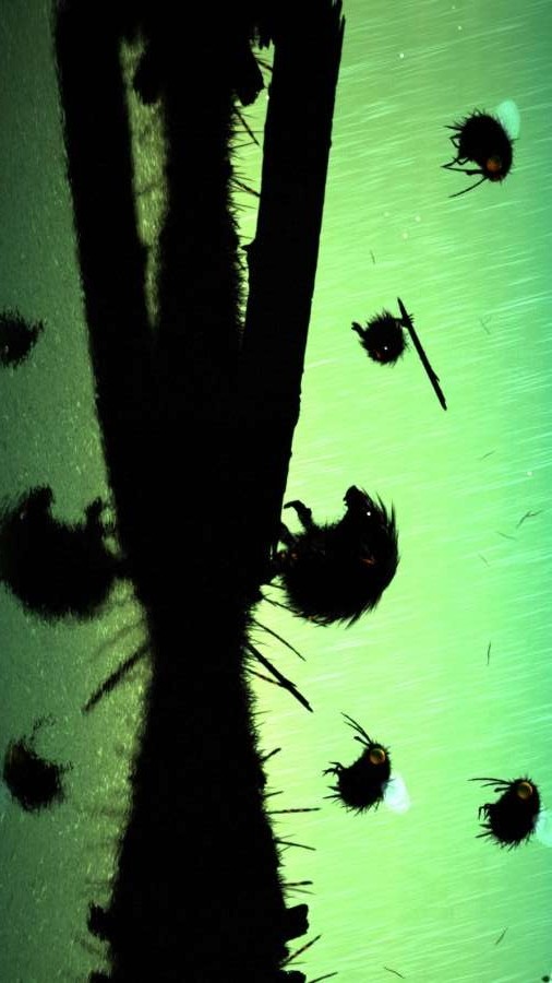 Feist(MOD) screenshot image 4_Popularmodapk.com