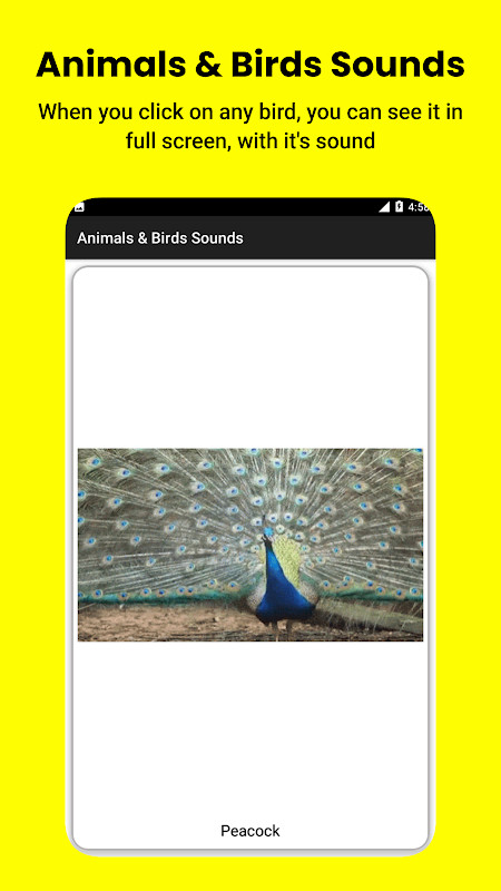 HybridAF screenshot image 6_Popularmodapk.com