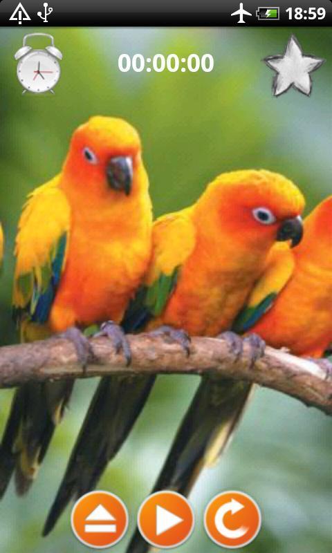 Birds Calls Sounds screenshot image 4_Popularmodapk.com