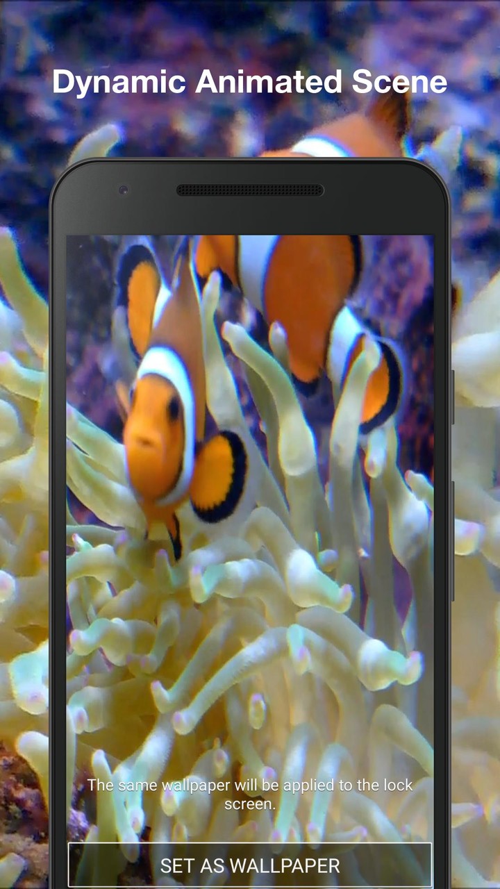 Real Fish Live Wallpaper screenshot image 2_Popularmodapk.com