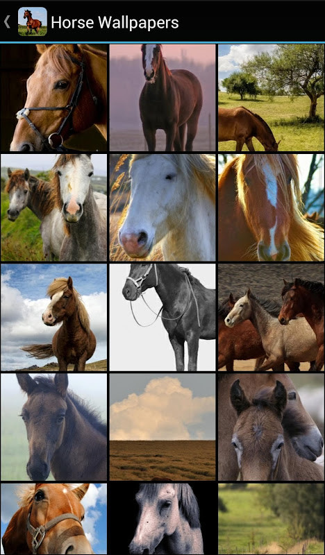 克莱恩破解版<span>(mod)</span> screenshot image 1_Popularmodapk.com