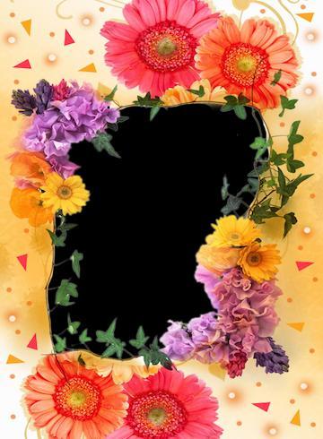 Share Me - Shareit to Xender screenshot image 14_Popularmodapk.com