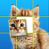 Jigsort: Picture Puzzle Games0.8_Popularmodapk.com