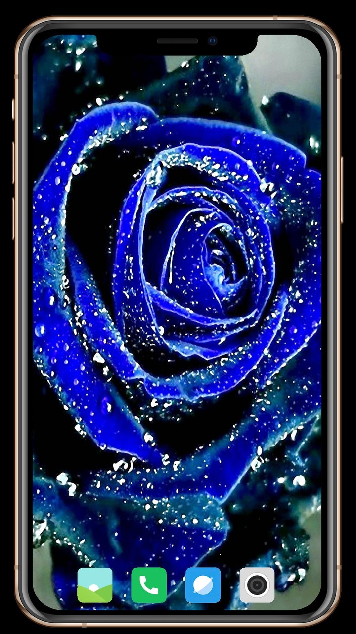 Salons Nearby screenshot image 14_Popularmodapk.com