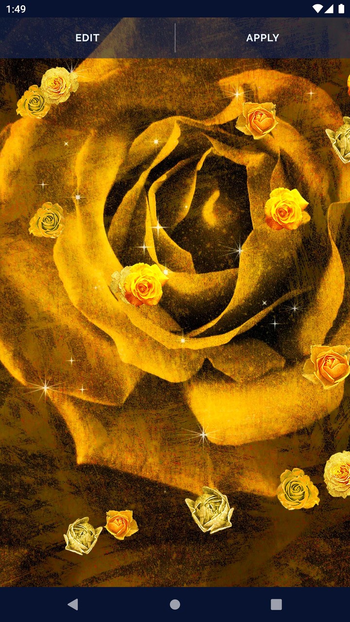 Golden Roses Live Wallpaper screenshot image 7_Popularmodapk.com