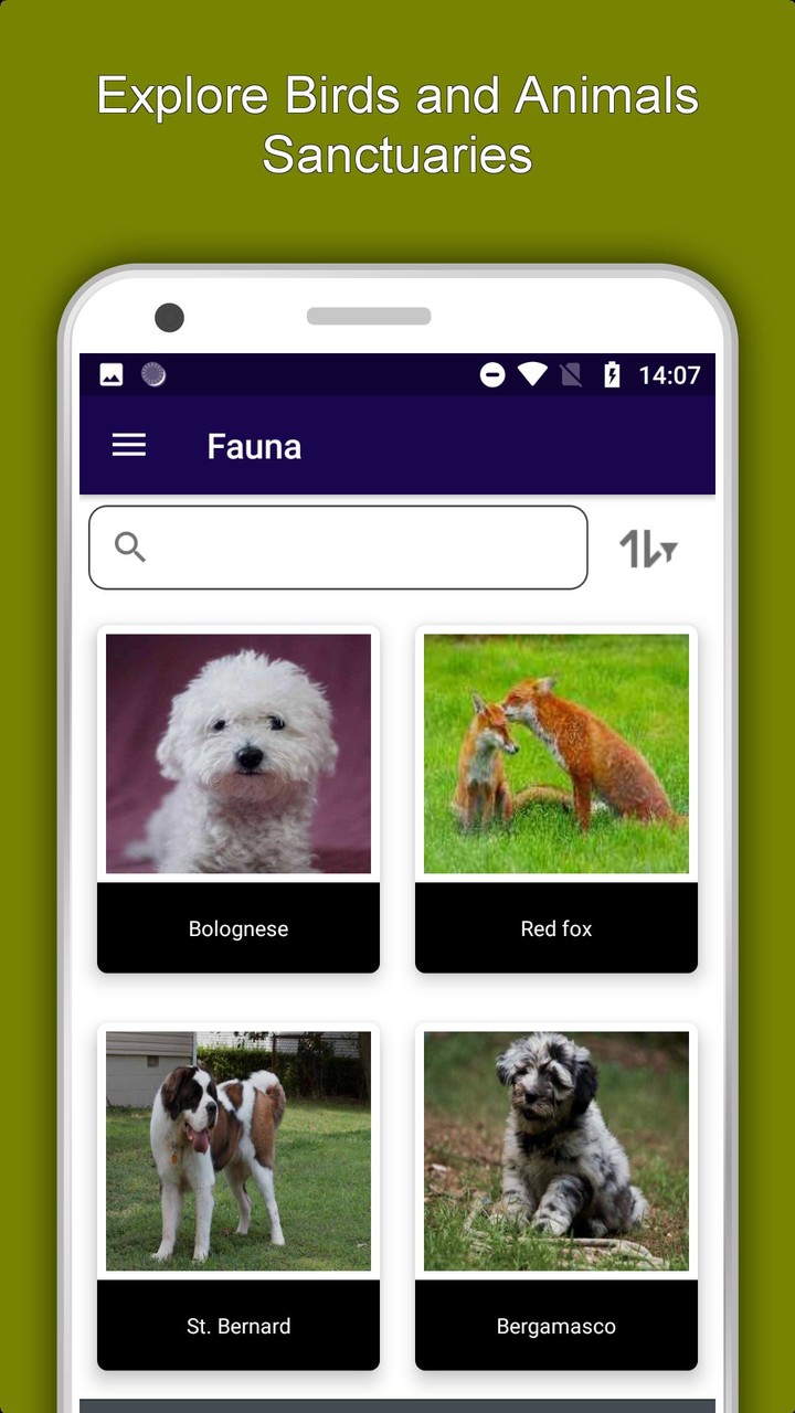 OS15 Camera - iCamera & Ultra Camera for iPhone 13 screenshot image 5_Popularmodapk.com