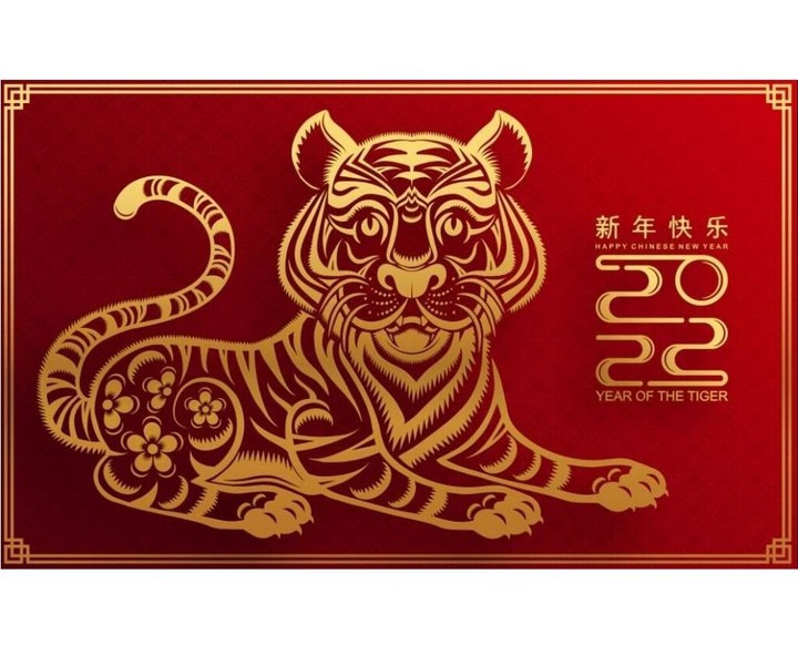 Grayland Premium(Unlock all levels) screenshot image 5_Popularmodapk.com