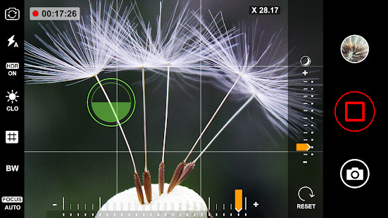 Explordle screenshot image 1_Popularmodapk.com