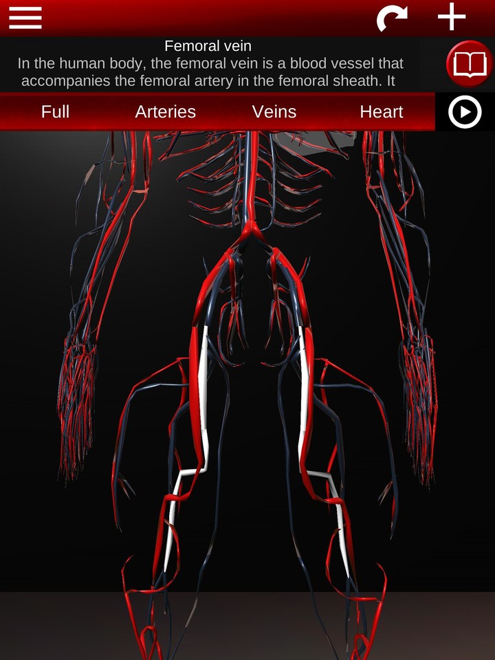 Circulatory System 3D Anatomy screenshot image 14_Popularmodapk.com