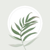 Blossom - Plant Identification1.27.0_Popularmodapk.com