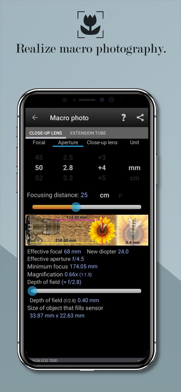 Cruce - Game with Cards screenshot image 2_Popularmodapk.com