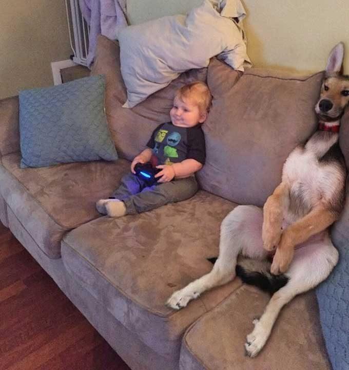 Funny Pics screenshot image 2_Popularmodapk.com