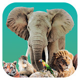 Ark Nova<span>(Unlock full content)</span>1.0.1_Popularmodapk.com