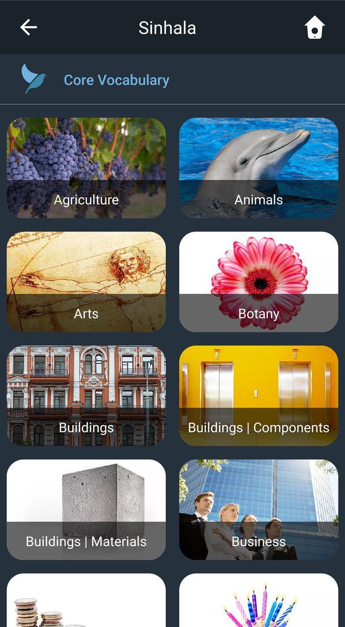 Learn Sinhala. Speak Sinhala. Study Sinhala. screenshot image 2_Popularmodapk.com