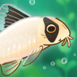 Pondlife — Relaxing Fish Game<span>(mod menu)</span>1.15.4_Popularmodapk.com