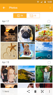 Pet Cloud screenshot image 2_Popularmodapk.com