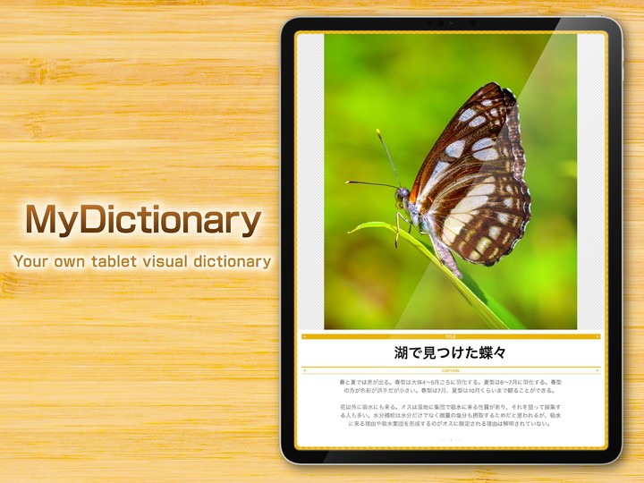 My Dictionary -Collection Mana screenshot image 10_Popularmodapk.com