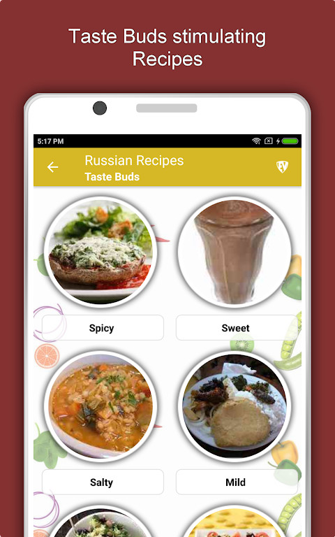 Russian Food Recipes Offline screenshot image 13_Popularmodapk.com