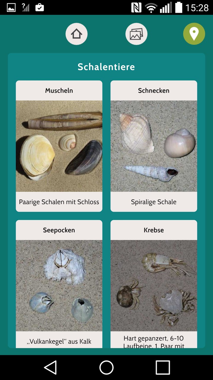 Baltic Explorer screenshot image 3_Popularmodapk.com