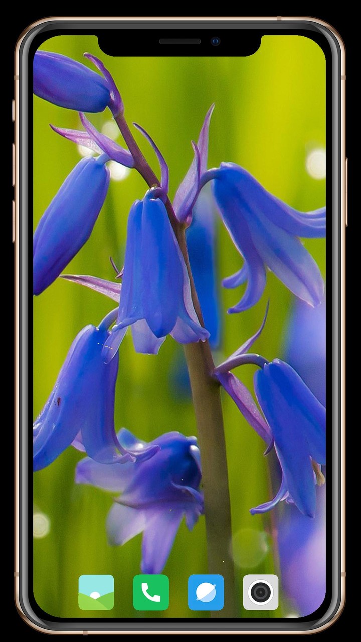 Salons Nearby screenshot image 16_Popularmodapk.com