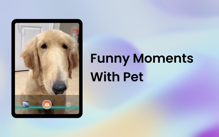 زواج بنات و مطلقات سورية screenshot image 14_Popularmodapk.com