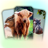 Animal Learning For Toddlers1.91_Popularmodapk.com