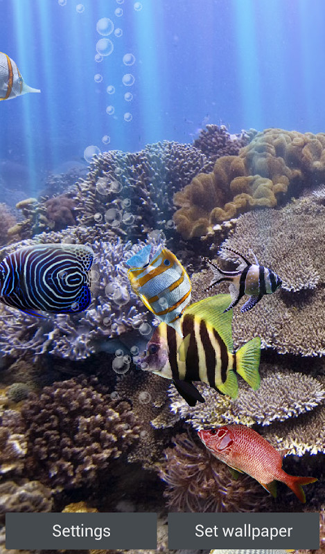 The real aquarium - LWP screenshot image 17_Popularmodapk.com