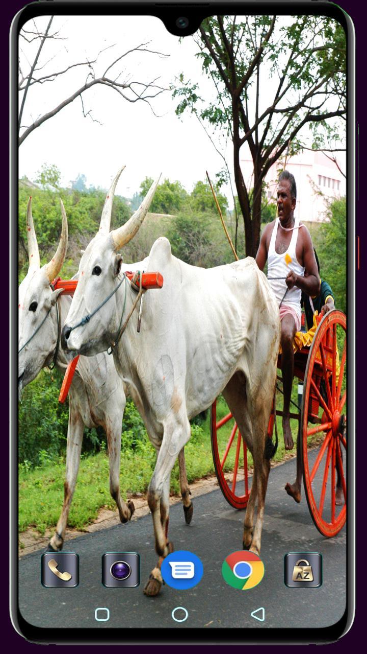 Medical Logo Maker screenshot image 20_Popularmodapk.com