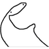 Flork Memes Stickers wastickerv1.2_Popularmodapk.com