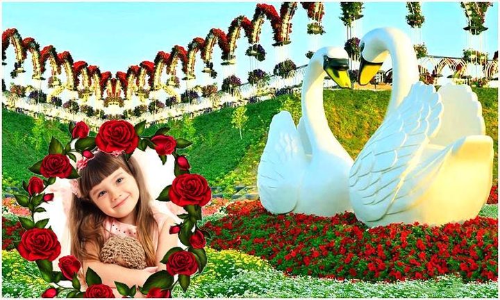 Beautiful Garden Photo Gallery screenshot image 6_Popularmodapk.com