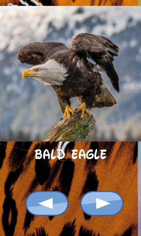 Animals , guess which one screenshot image 1_Popularmodapk.com