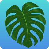 Plant Therapy NYC<span>(Unlimited coins)</span>250312.13_Popularmodapk.com