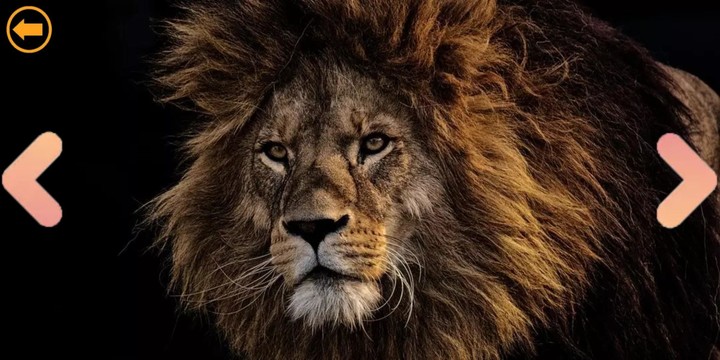 Play with Animals Free screenshot image 8_Popularmodapk.com