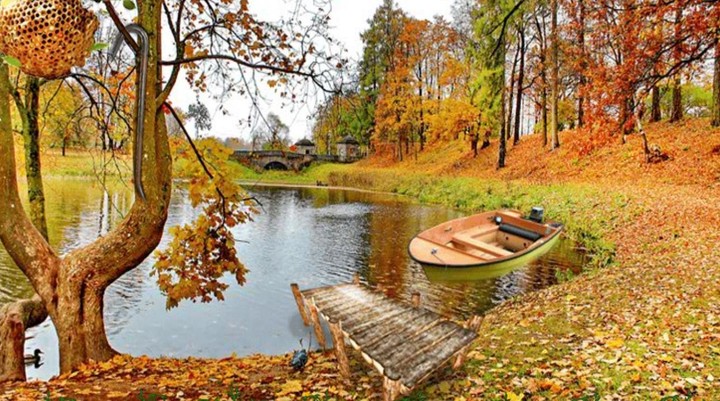 Autumn City Park Escape screenshot image 2_Popularmodapk.com