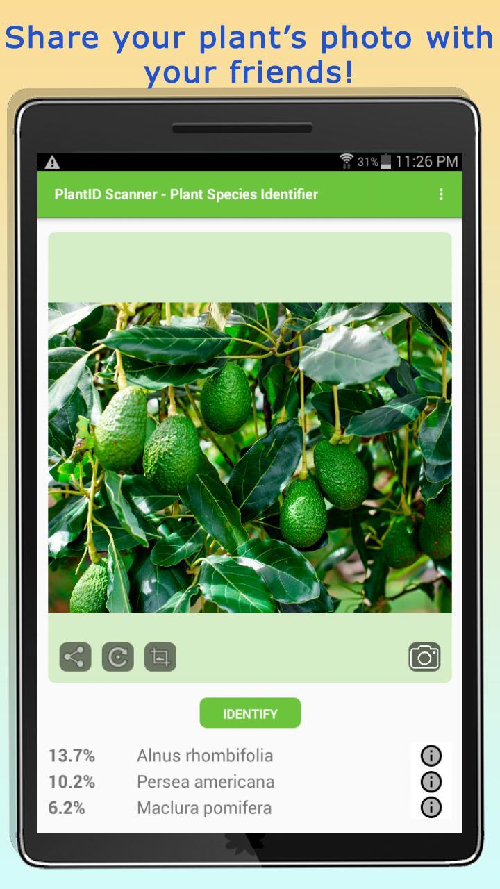 PlantID - Identify Plants screenshot image 9_Popularmodapk.com