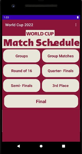 World Cup 2022 screenshot image 6_Popularmodapk.com