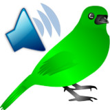 Birds Calls Sounds5.0.1-40162_Popularmodapk.com