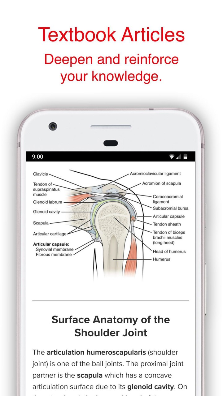 Debre Tabor University screenshot image 10_Popularmodapk.com